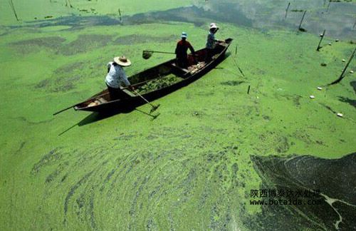 水網_SHUI.ORG